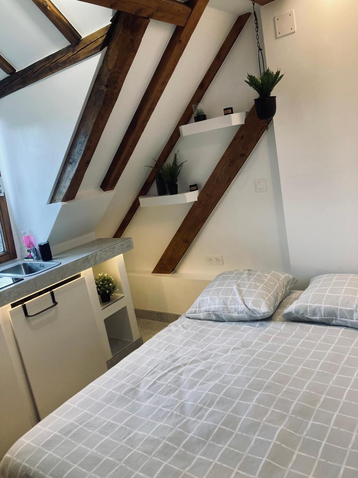 Petit Nid Sympa A Strasbourg Daire Dış mekan fotoğraf
